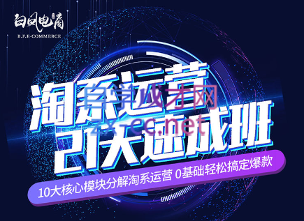 淘系运营21天速成班(更新24年6月)-小鹏项目网
