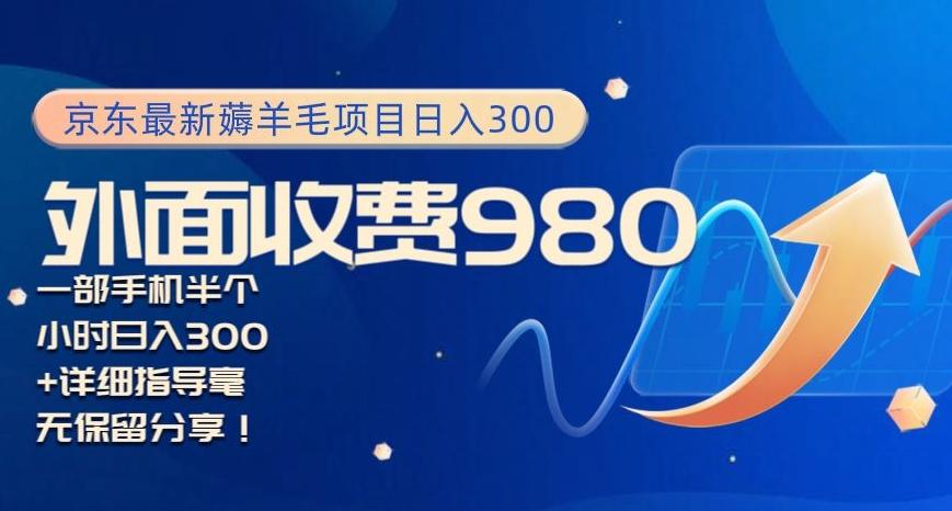 京东最新薅羊毛项目小白怎么做到日入300+一部手机半小时搞定-小鹏项目网