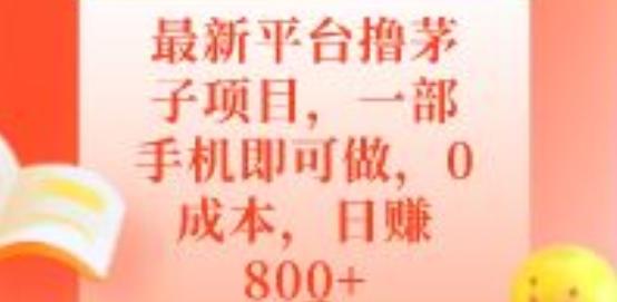 最新平台撸茅子项目，一部手机即可做，0成本，日赚800+-小鹏项目网