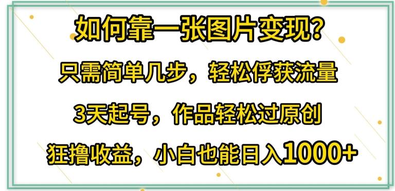 如何靠一张图片变现?只需简单几步，轻松俘获流量，3天起号，作品轻松过原创【揭秘】-小鹏项目网