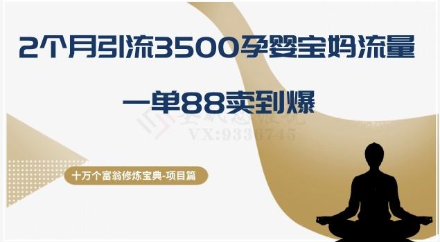 十万个富翁修炼宝典之13.2个月引流3500孕婴宝妈流量，一单88卖到爆-小鹏项目网