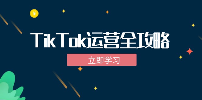 TikTok实战运营全攻略：从下载软件到变现，抖音海外版实操教程-小鹏项目网