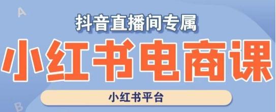 小红书电商高级运营课程，实操教学+案例分析-小鹏项目网