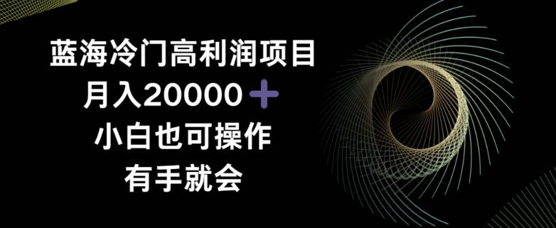 蓝海冷门高利润项目月入2000，小白也可操作有手就会-小鹏项目网