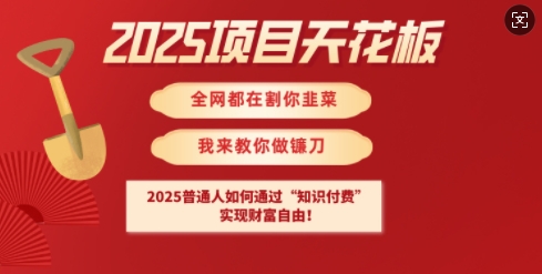 2025项目天花板普通人如何通过知识付费，实现财F自由【揭秘】-小鹏项目网